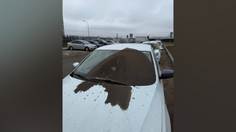 «Ночные мстители» порезали шины и облили грязью автомобили в воронежском ЖК «Черемушки»