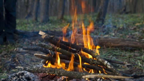 Упавшего в костер 11-месячного мальчика отправят в воронежскую больницу