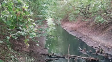 Специалисты подтвердили сброс загрязненных вод в реку Россошь в Воронежской области