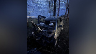В Воронежской области 42-летняя пьяная женщина на KIA вылетела в кювет