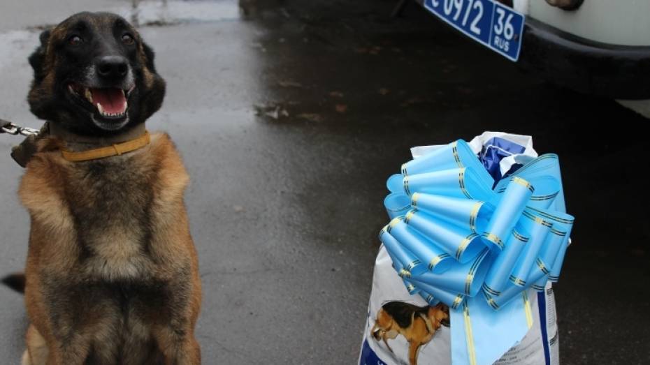 Служебную собаку наградили за поимку напавших на почтальона в Воронежской области