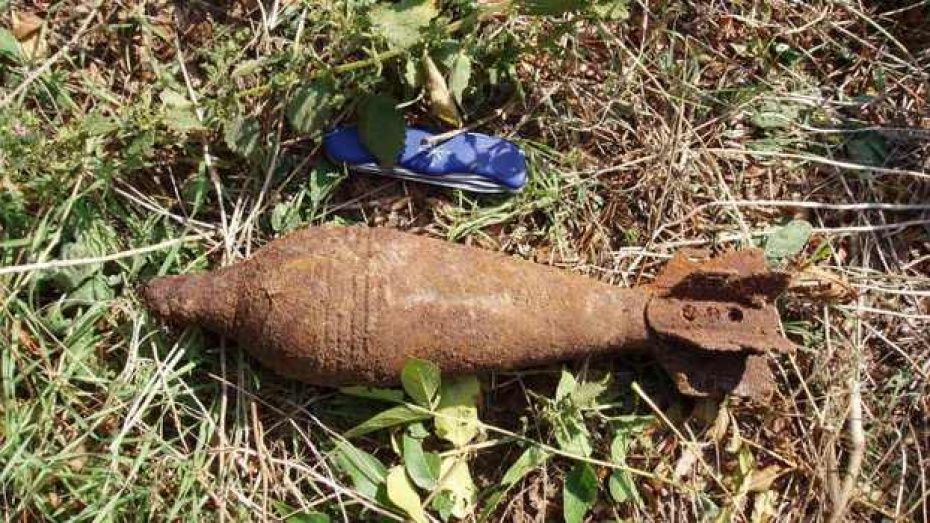 В Рамонском районе грибники нашли 17 боеприпасов времен ВОВ