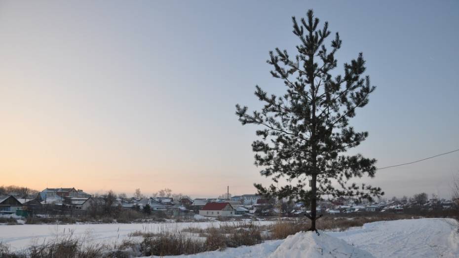 Павловские активисты откроют елку у озера 24 декабря