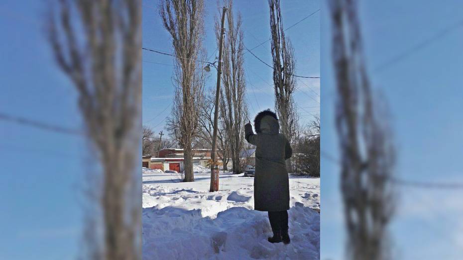 В Семилуках оборвалась линия электропередачи при сходе снега с крыши