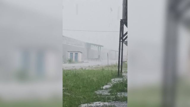 Сильнейший град в нескольких районах Воронежской области попал на видео