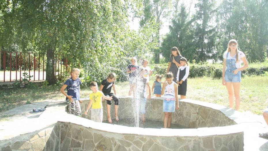В каменском селе Тхоревка активисты сделали фонтан