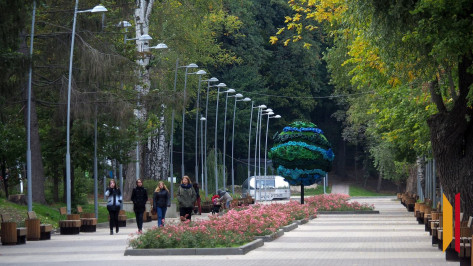 С «ЭкоЦентра» взыскали 300 тыс рублей за падение ветки на 5-летнюю девочку в Центральном парке Воронежа