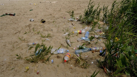 Воронежцев пригласили на уборку берега водохранилища 26 мая