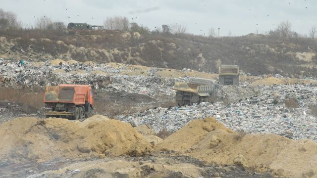 Воронежская область получит 79 млн рублей на создание мусоросортировочных комплексов