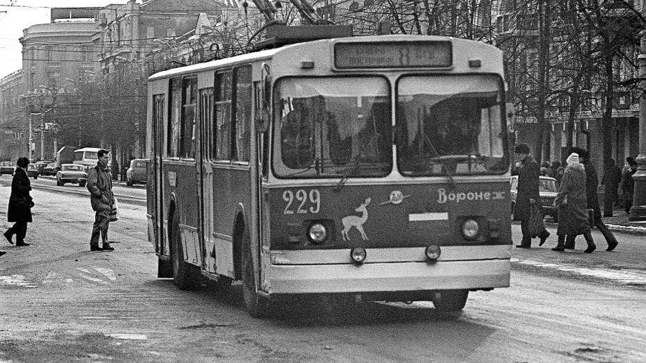 От конки до «ПАЗов»: как эволюционировал транспорт Воронежа. Троллейбус