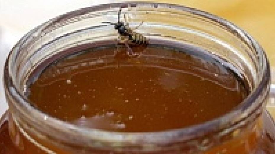 Воронежские пчеловоды накормят школьников бесплатным медом