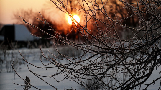 Штормовое предупреждение из-за аномальных морозов объявили в Воронежской области