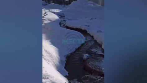 Воронежцы опубликовали видео с места крупной коммунальной аварии на улице Барнаульской