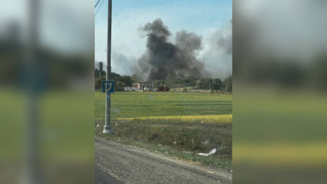 Ландшафтный пожар под Воронежем сняли на видео