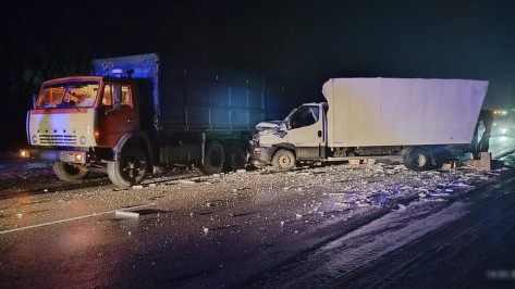 В аварии двух грузовиков погиб 45-летний житель Острогожского района Воронежской области