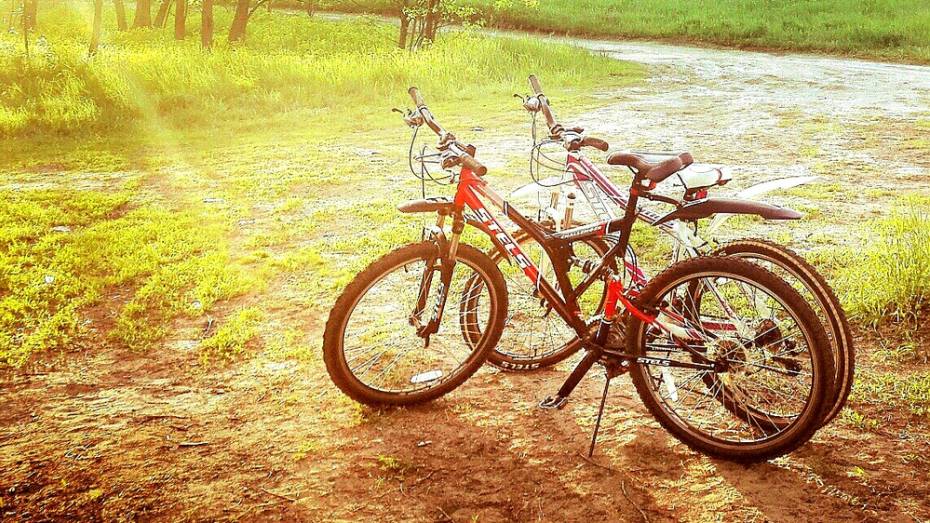 Семилукские полицейские нашли украденные велосипеды 2 месяца спустя