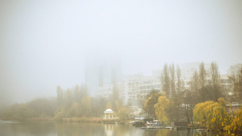 Желтый уровень погодной опасности продлили в Воронежской области из-за тумана