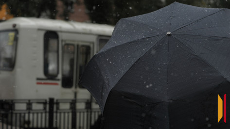 Воронежские энергетики подготовили 168 бригад для работы в условиях непогоды