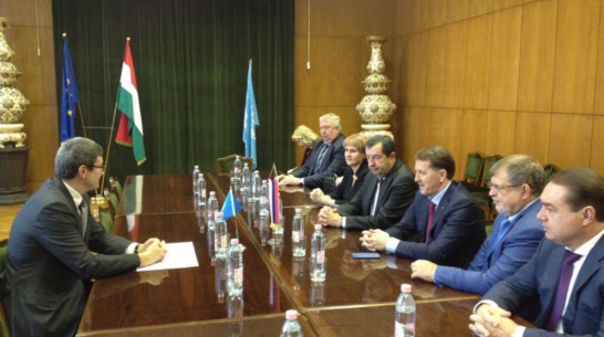 Воронежская область и Венгрия будут сотрудничать в культурной и аграрной сферах