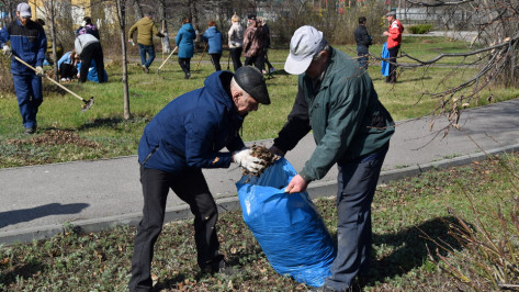 Жителей Поворино позвали в городской парк на субботник