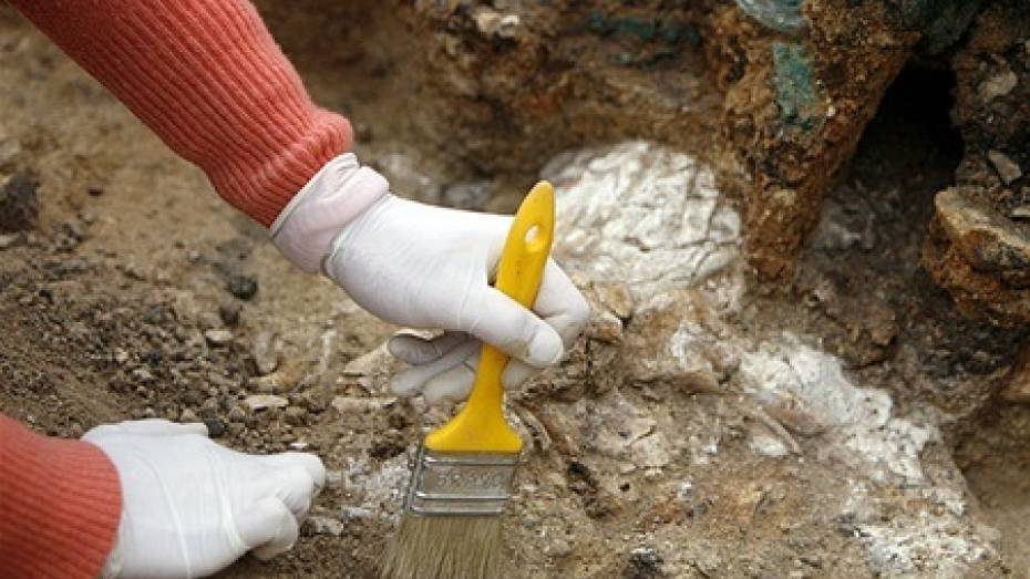 На никелевом месторождении в Воронежской области нашли захоронение тысячелетней давности
