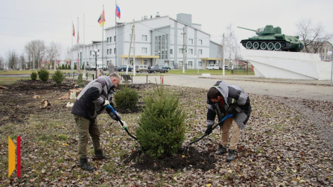 Центральные улицы и парк Каменки украсили 45 елей