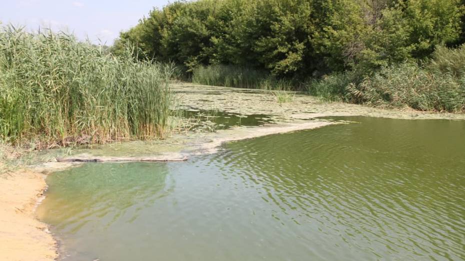 Экологи поставили рекам Воронежской области общий диагноз