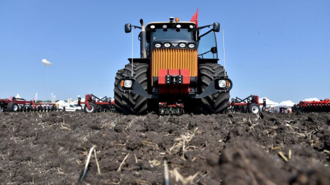 Воронежским производителям возместят затраты на проведение агротехнологических работ