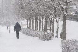 Желтый уровень погодной опасности из-за сильного снегопада объявили в Воронежской области