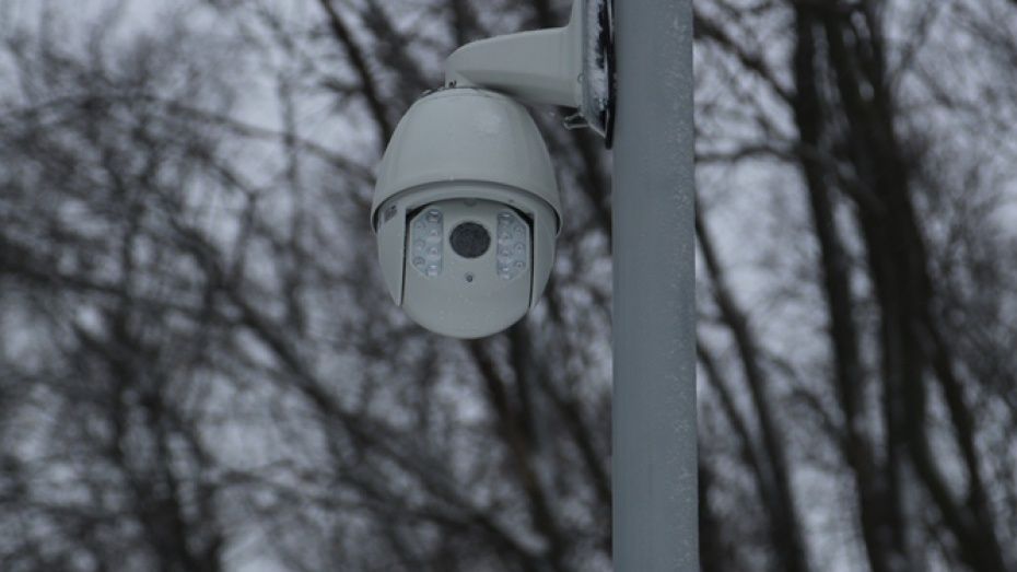 В воронежских парках и скверах установят 100 камер видеонаблюдения