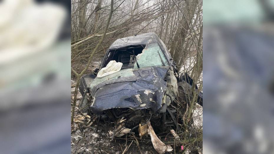 В Воронежской области Audi A6 вылетел в кювет и врезался в деревья: пострадали двое мужчин