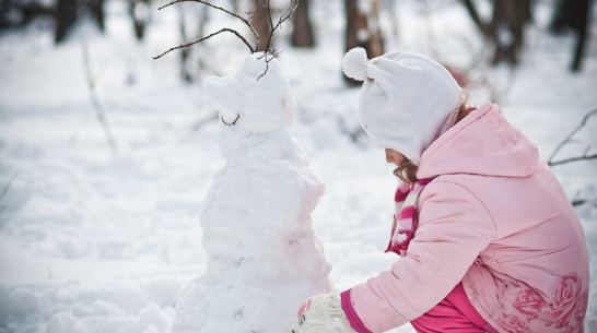 Зима вернется в Воронеж в пятницу