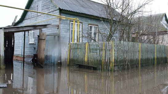 В Давыдовке Лискинского района в зоне подтопления оказалось несколько десятков домов