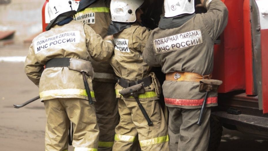 Под Воронежем на пожаре нашли тело 42-летнего мужчины