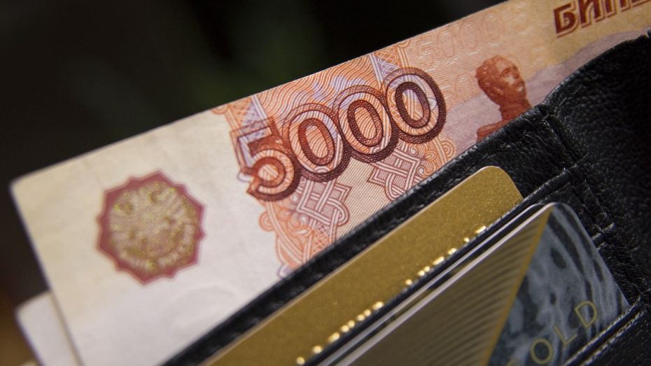 Среднюю зарплату работников воронежских предприятий в январе оценили в 40,5 тыс рублей