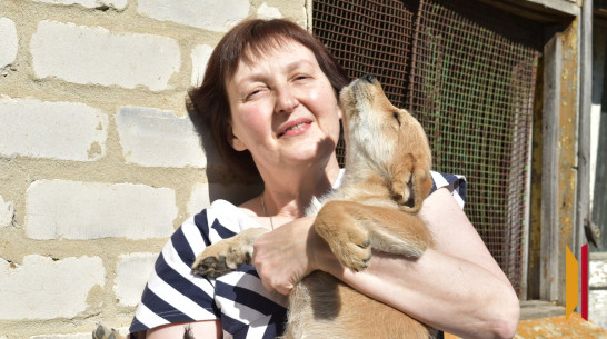 «Смотрела в глаза и словно умоляла о помощи». Как жительница Воронежской области спасла 14 щенков бродячей собаки