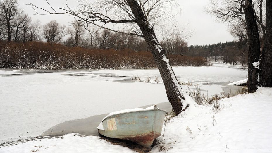 Участок реки Дон перекрыли в Воронежской области до апреля