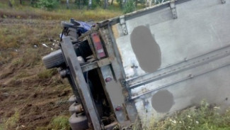 Вчера в Воронежской области случилось 175 ДТП