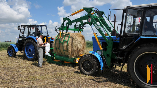 Воронежцам предложили поучаствовать в Первом Всероссийском агродиктанте