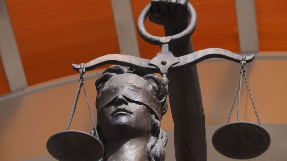 Дело воронежского адвоката с «большими связями» передали в суд