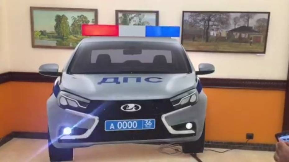 Воронежских водителей напугают муляжами машин ДПС с иллюминацией