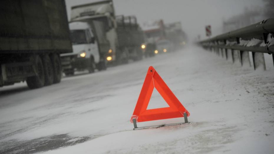 В Воронежской области Scania насмерть сбила пешехода