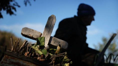 Воронежское похоронное бюро бесплатно наведет порядок на могилах по заявкам
