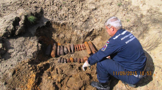 В семилукском селе нашли 21 боеприпас времен Великой Отечественной войны