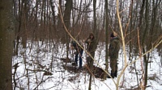 Поисковики обнаружили под Воронежем порядка 20 братских могил, в которых может быть 12 тысяч солдат