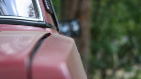 Двое жителей Воронежской области угнали «ВАЗ» с водителем