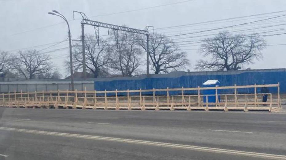 Новую железнодорожную станцию построят в Воронеже возле Центрального парка