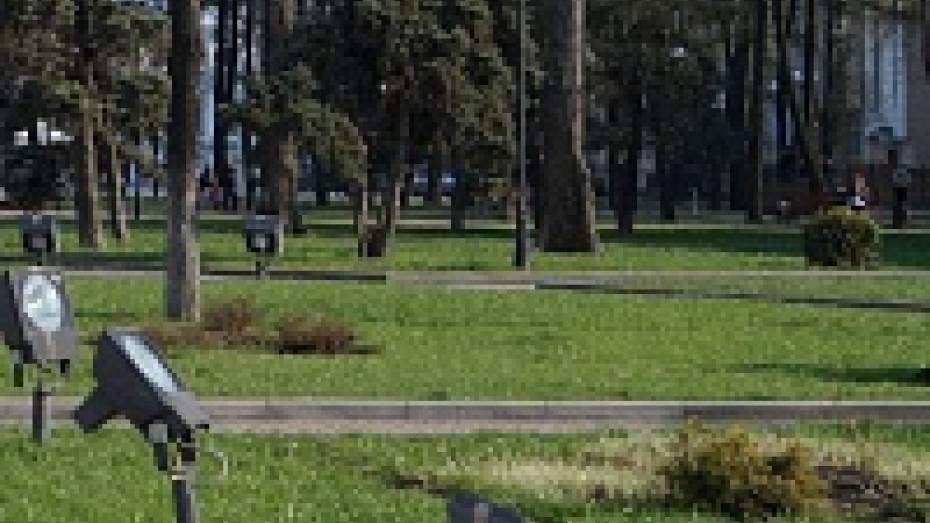 По самому центру Воронежа разгуливал голый мужчина