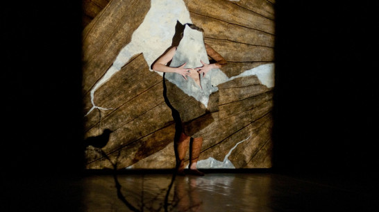 На Платоновфесте словацкий режиссер показала часовой моноспектакль без слов