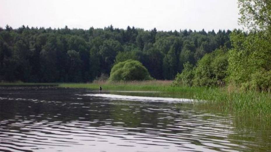 В минувшие выходные на водоемах Рамонского района утонули два человека